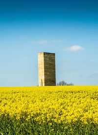 Scenic view of oilseed rape field against sky