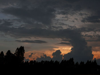 Low angle view of silhouette trees against sky during sunset