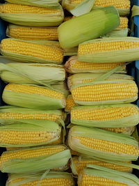 Full frame shot of stack for sale at market stall