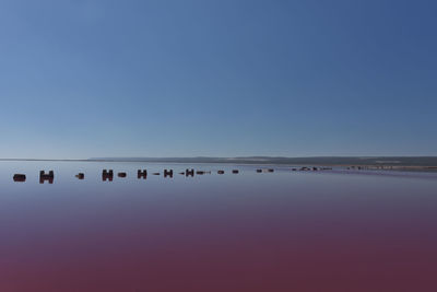 Scenic view of pink lake against clear blue sky