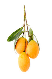 Close-up of oranges against white background