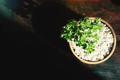 High angle view of vegetables in bowl on table