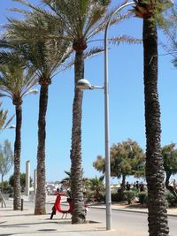 People by palm trees on road against sky