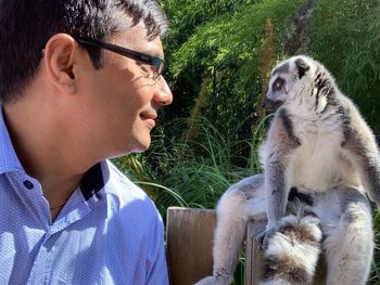 Side view of man by ring-tailed lemur against trees