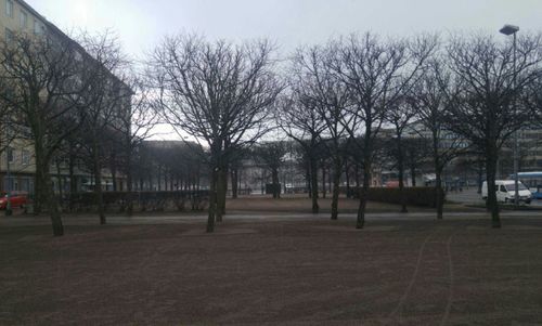 Bare trees in city against sky