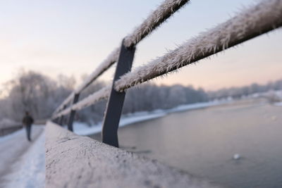 Close-up of frozen leaf during winter