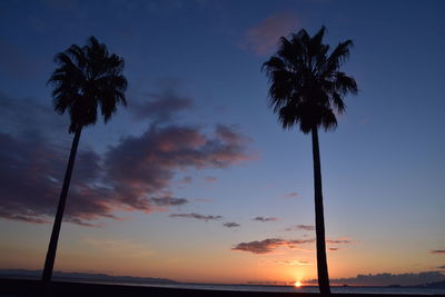 Silhouette palm trees against sky during sunset