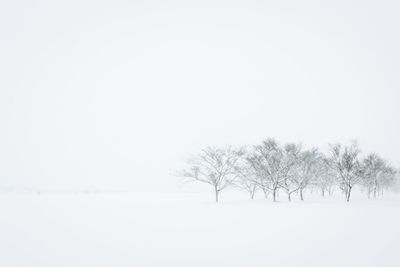 Trees on snow covered field against clear sky