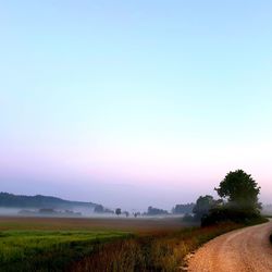 Scenic view of field against clear sky