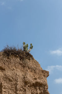 Low angle view of rock formation against sky