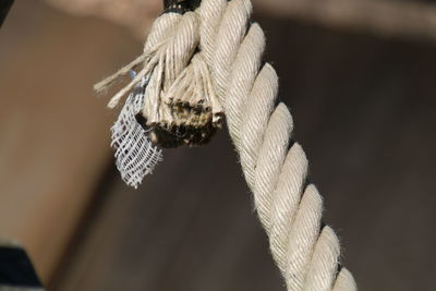 Close-up of rope tied outdoors