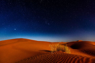 Sahara desert in moonlight with stars on the sky.