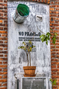 Potted plant on brick wall