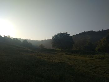 Scenic view of landscape against clear sky