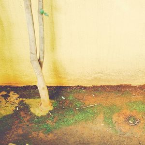 Man standing by water