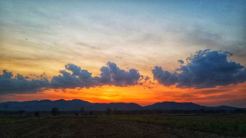 Scenic view of field against sky during sunset