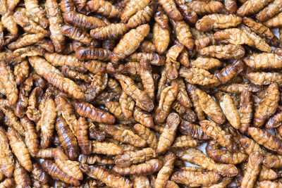 Full frame shot of rusty nails