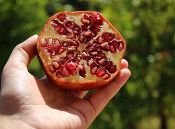 Close-up of hand holding apple