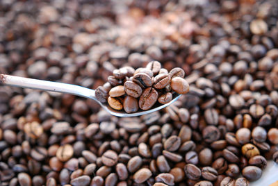Close-up of coffee bean in spoon