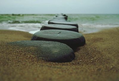 Surface level of beach