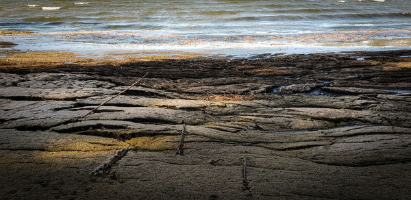 High angle view of rocks on beach