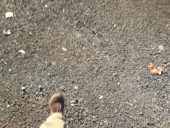 Low section of man standing in water