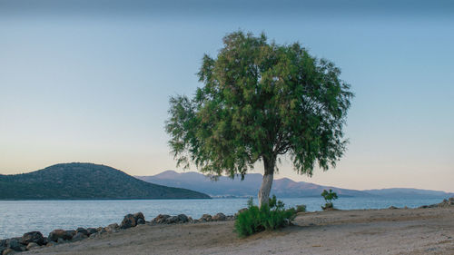 Scenic view of sea against clear sky