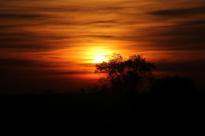 Silhouette trees on landscape against orange sky