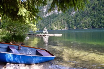 Boat moored on lake in forest