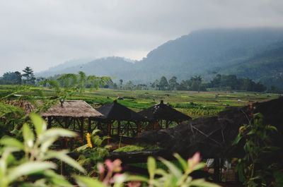 Scenic view of agricultural field by mountains against sky