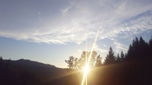 Trees against sky during sunset