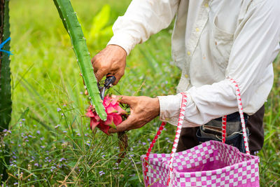 Midsection of woman working in farm