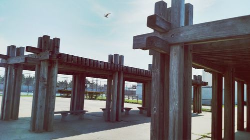 View of birds against sky