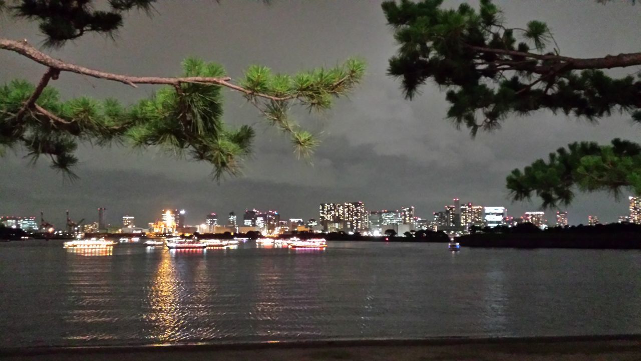 illuminated, night, tree, water, building exterior, nautical vessel, architecture, built structure, waterfront, harbor, city, sea, mode of transport, sky, cloud, ship, outdoors, ocean, skyscraper, city life, commercial dock