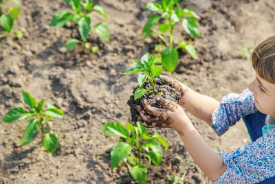 High angle view of woman holding plant