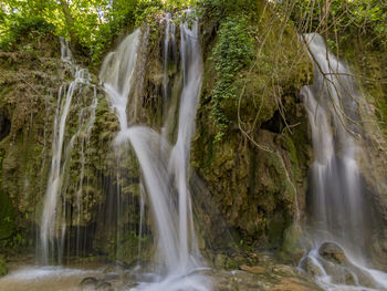 Scenic view of waterfall in forest