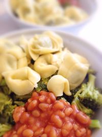 Close-up of served food