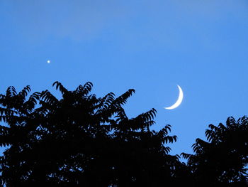 Low angle view of silhouette tree against sky at night