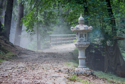 Close-up of fountain in forest