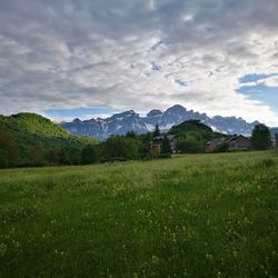 Scenic view of field against sky