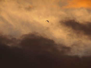 Low angle view of silhouette bird flying against cloudy sky