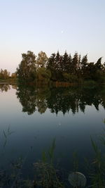 Reflection of trees in lake against sky