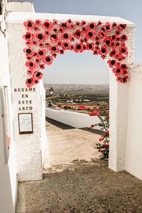 Red text on wall of building