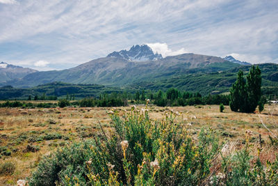 Scenic view of mountains while hiking to laguna cerro castillo in patagonia.