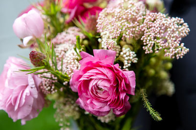 Close-up of pink flowers