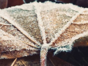 Close-up of pattern on wall