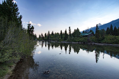 Reflection of trees in calm lake