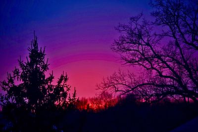 Silhouette trees against sky at sunset