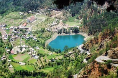 High angle view of trees and buildings