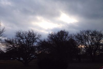 Low angle view of bare trees against cloudy sky